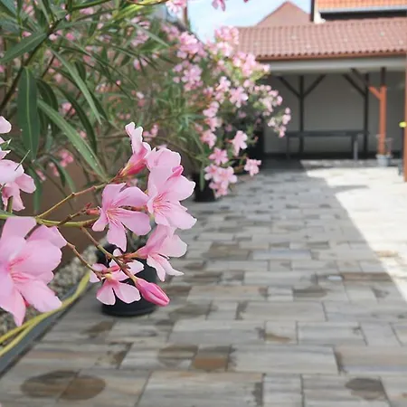 Sio50fok Apartmanhaz Lägenhet *