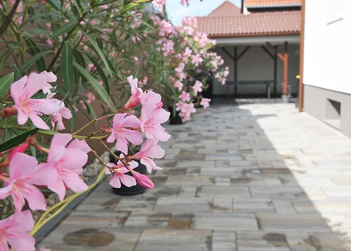 Sió50fok Apartman *